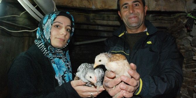 Tanesini 10 Tl’den Sattığı Yumurtalarla Servet Kazandı