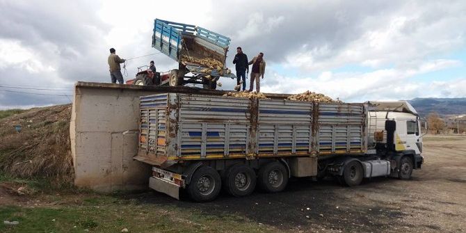 Hisarcık’ta Şeker Pancarı Üretiminde Düşüş