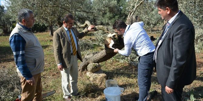 Büyükşehir Hortum Felaketin İzlerini Siliyor