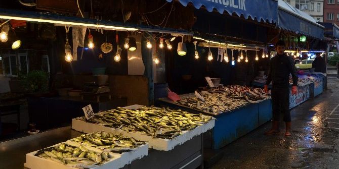 Hamside Umut "Azak Hamsisi"