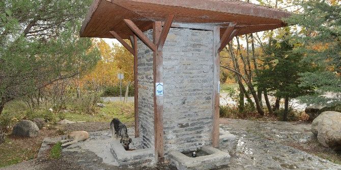 Yıldırım’da Sokak Hayvanları Aç Değil