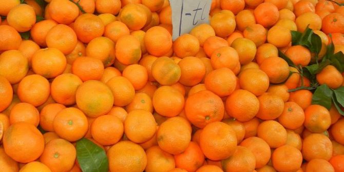 Mandalina Üreticileri Dert Küpü