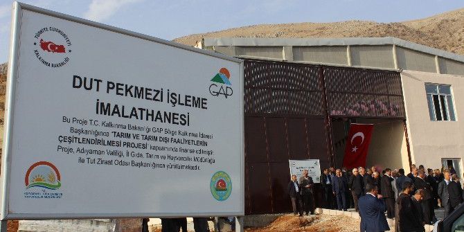 Dut Pekmezi İşleme İmalathanesi Tut İlçesine Ekonomik Girdi Sağlayacak