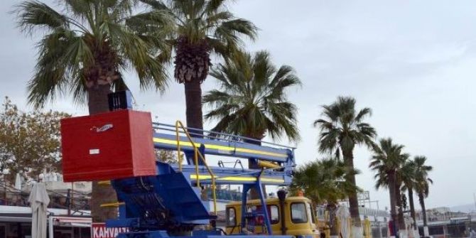 Edremit’te Ağaçlar Kuaförden Çıktı