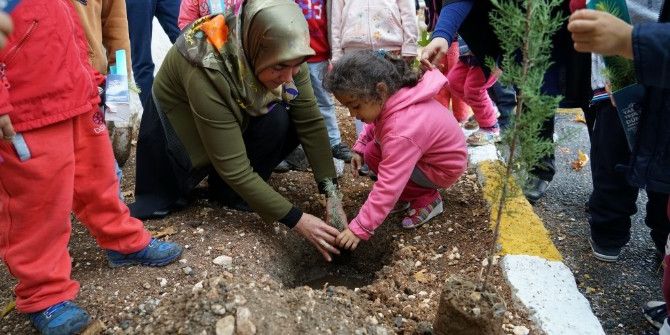Okul Bahçesine Fidanlar Dikildi