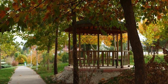 Üniversitede 28 Bin 64 Ağaç Boy Gösteriyor