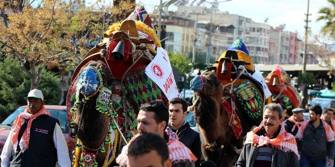 Güreşçi Develer Şehir Turu Attı