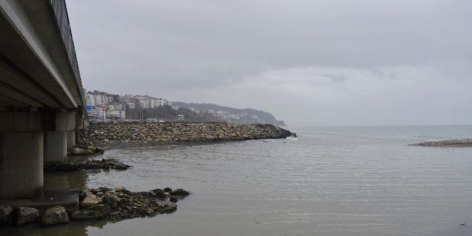 Başkan Tekin: "Alaplı Çayı’nın Karadeniz’e Bağlantılı Olduğu Alan Moloz Taşlarıyla Doldu, Acilen Önlem Alınmalı"