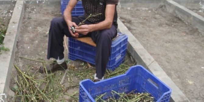 Belediye Bahar Ayları İçin Çalışmalara Başladı