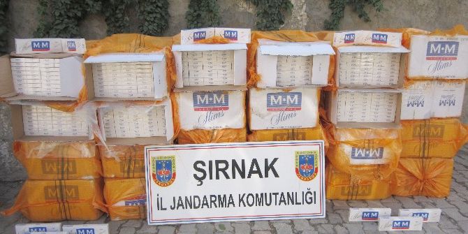 Şırnak’ta 206 Bin 685 Paket Kaçak Sigara Ele Geçirildi