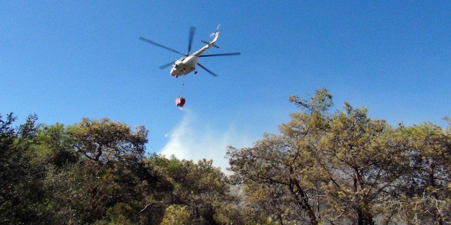 Mersin’de Orman Yangını