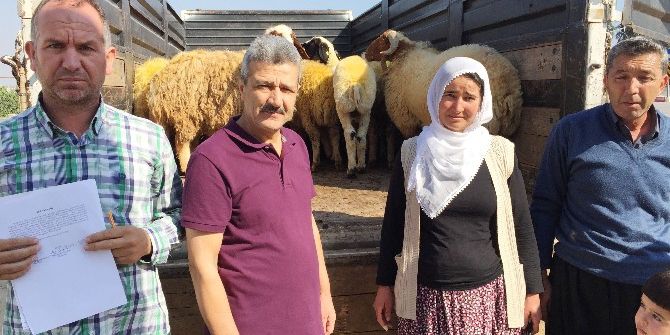 Erdemli’de Genç Çiftçi Projesi Başladı