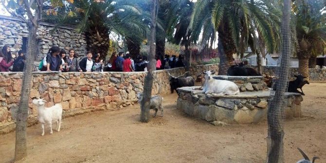 Beyoğlulu Öğrenciler Darıca Hayvanat Bahçesi’ni Gezdi