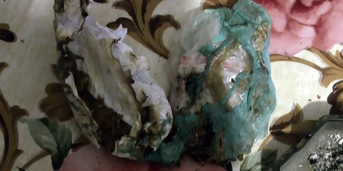 Edirne’de Torbacı Operasyonunda 1 Tutuklama