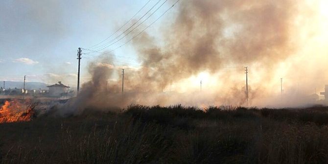 Burhaniye’de Yangın