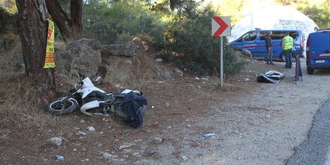 Ekmeğinin Yolunda Öldü