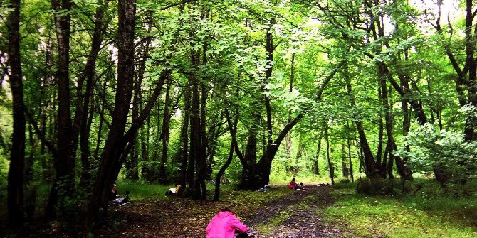 Sığla Ormanları Çankaya’da