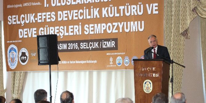 Uluslararası Selçuk-efes Devecilik Kültürü Ve Deve Güreşleri Sempozyumu Başladı