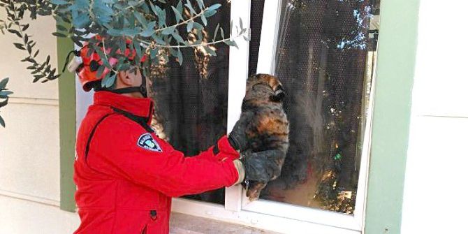 Pencereye Sıkışan Kediyi İtfaiye Kurtardı