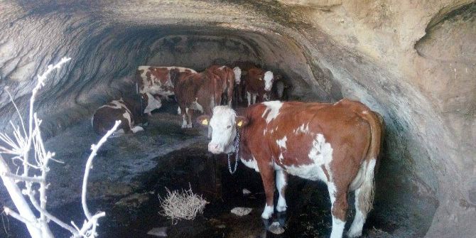 Kayseri’de Polisin ’Kızılderili Takibi’