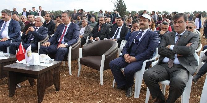 Şanlıurfa’da Ulusal Mısır Tarla Günü Düzenlendi