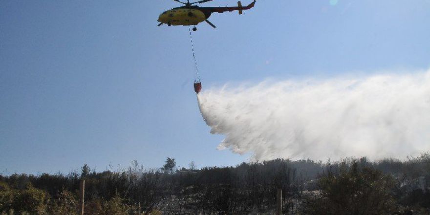 Muğla’da Orman Yangını