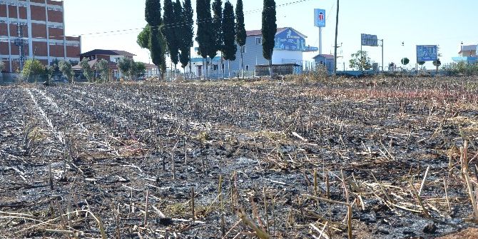 Tarlada Çıkan Yangın Benzinliği Tehdit Edince Korku Dolu Anlar Yaşandı