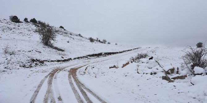 Sinop’ta Kar Yağışı