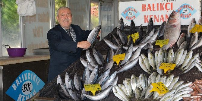 Palamuttan Sonra Sarıkanat Ve Lüfer De Yüz Güldürdü