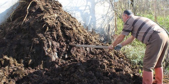 Kimyasal Gübre Yerine ’Çiftlik Gübresi’