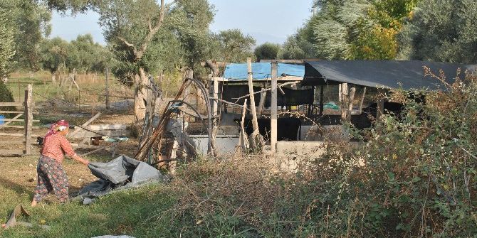 Aydın’da Yazlıklardan Kışlıklara Dönüş Başladı