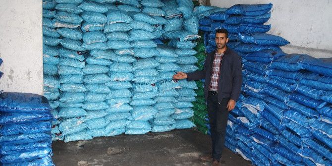 Dolar Yükseldi, Kömür Fiyatları Arttı