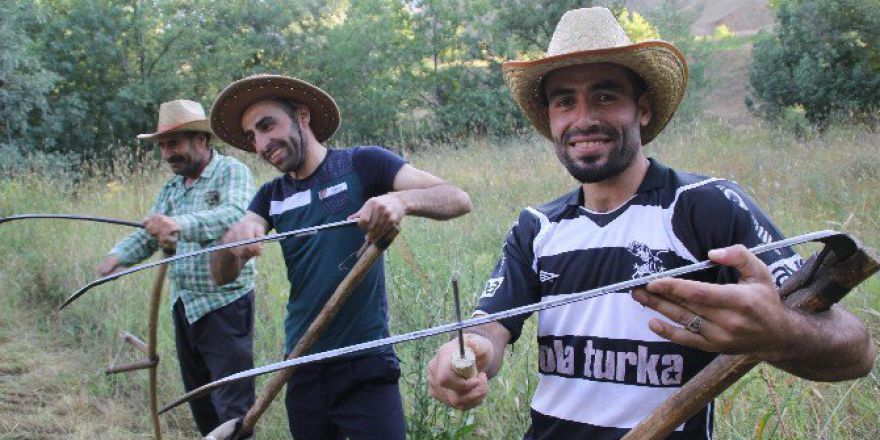 Hakkari’de Ot Biçme Zamanı