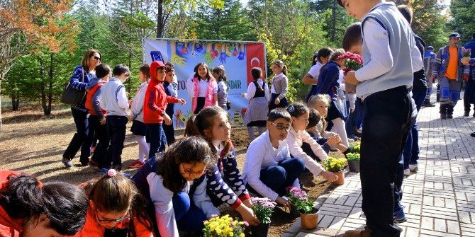 Minik Eller Okul Bahçelerini Çiçeklendirdi
