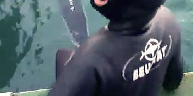 Edremit’te Dalgıçlar Kedi Kurtardı