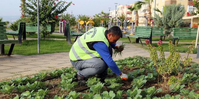 Erdemli’de Park Ve Yeşil Alanlara Kışlık Bakım