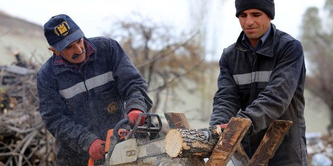 Yenimahalle’de Budanan Ağaçlar Vatandaşı Isıtıyor