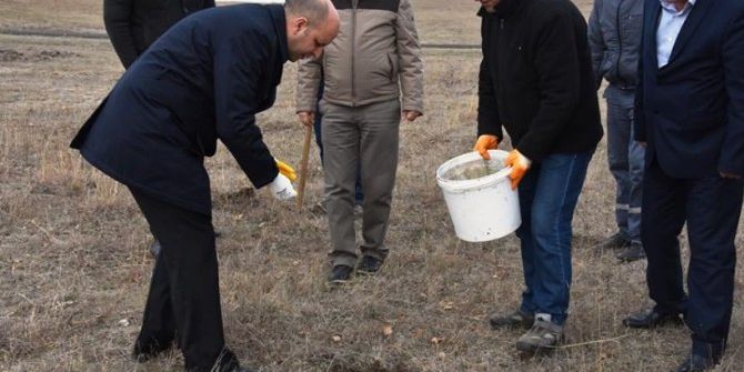 Hayrabolu Belediyesi Gölet Sahasına 5 Bin Adet Meşe Palamudu Ekti
