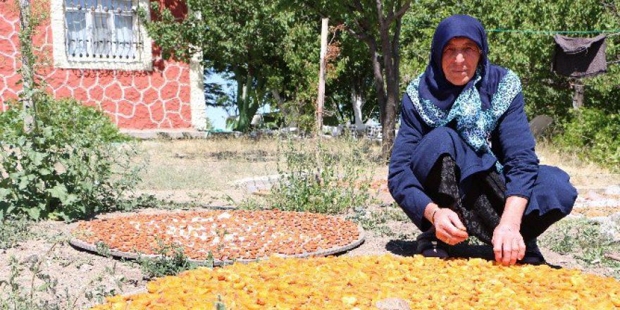 70 Yaşındaki Fatma Nine, Eşinin Vasiyetini Gerçekleştirmek İçin Köyünü Terk Etmedi