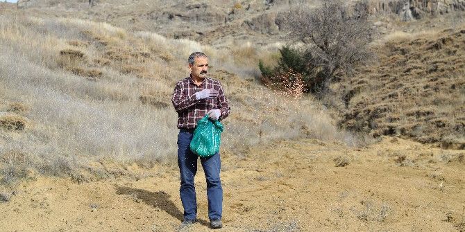 Orman Ve Su İşleri Bakanlığından Yaban Hayvanlarına Destek