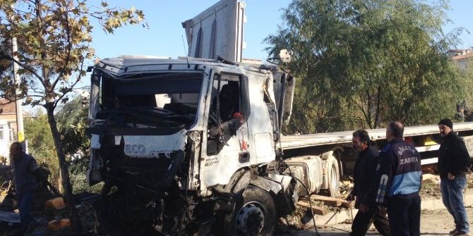 Yoldan Çıkan Tır Ağaçları Devirerek Durabildi