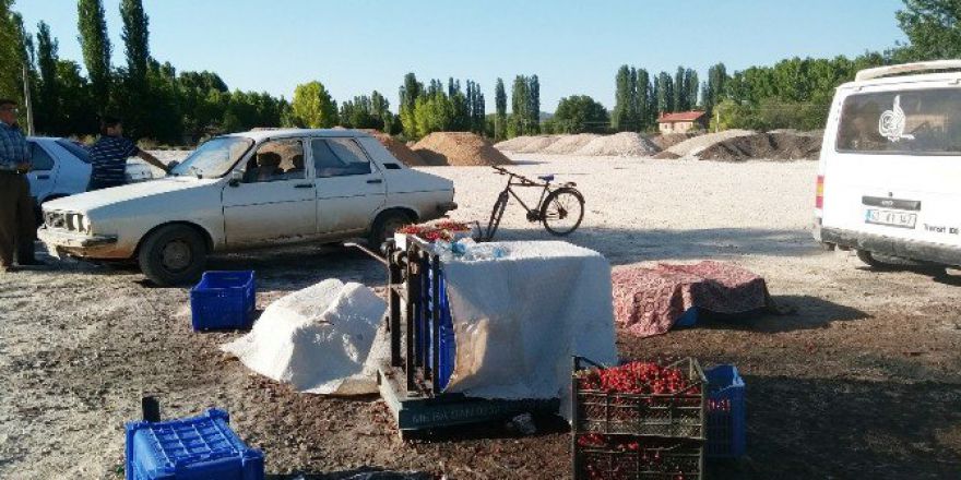 Vişne Üreticisi Ürününü Satamıyor