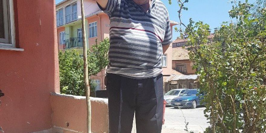 Mahallede Yılan Paniği