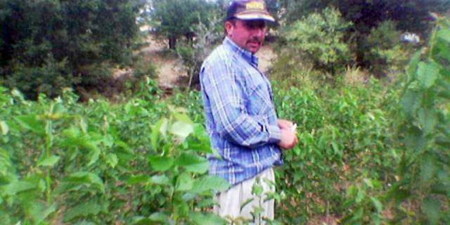 Eşini Döverek Öldürdü