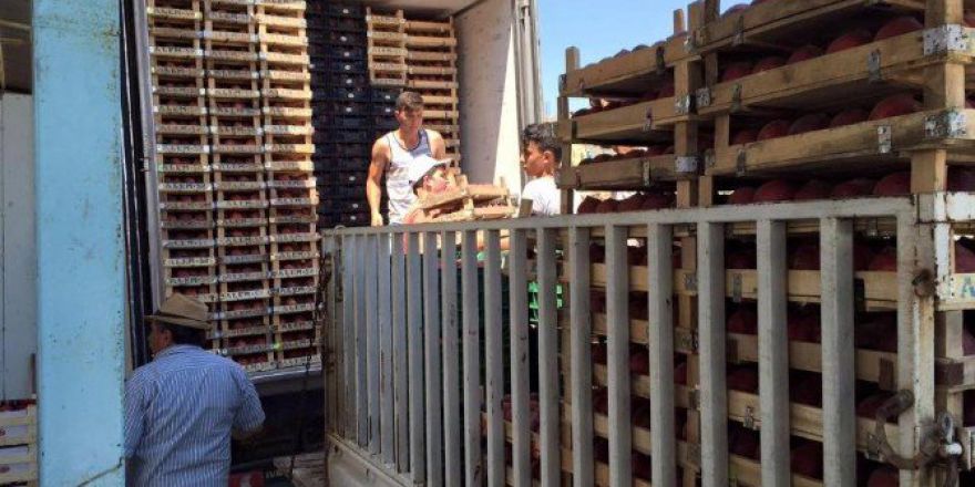 Şeftalinin Kasası 9 Liradan Alıcı Buluyor