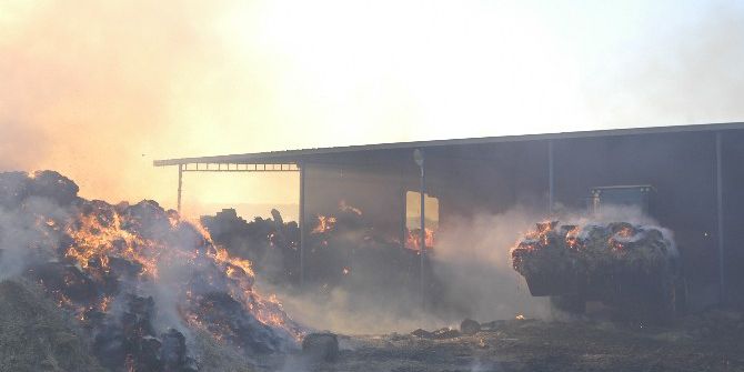 10 Bin Balya Alev Alev Yandı