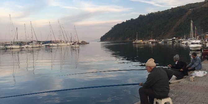 Güneşi Gören Oltacılar Trilye’ye Akın Etti