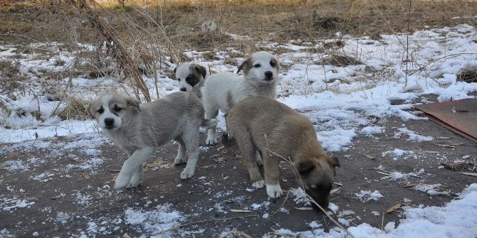 Liseli Öğrencilerden Duygulandıran Davranış