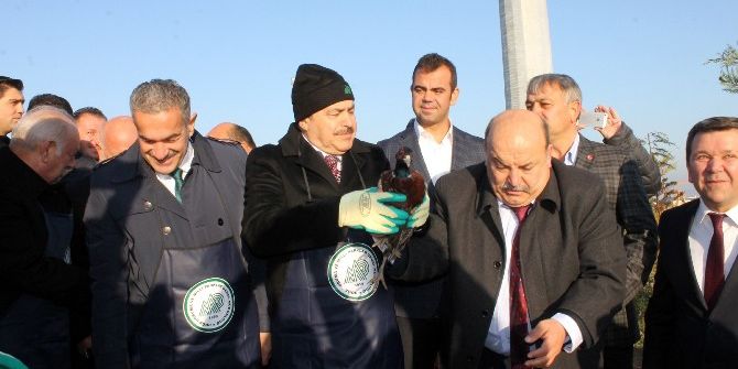 Orman Ve Su İşleri Bakanı Eroğlu Yalova’da