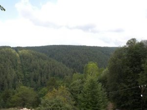 Kastamonu Ahlatköy